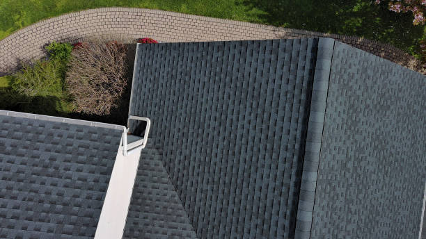 Best Roof Moss and Algae Removal  in Temelec, CA